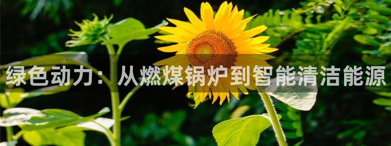 恒行娱乐吕74OOO5