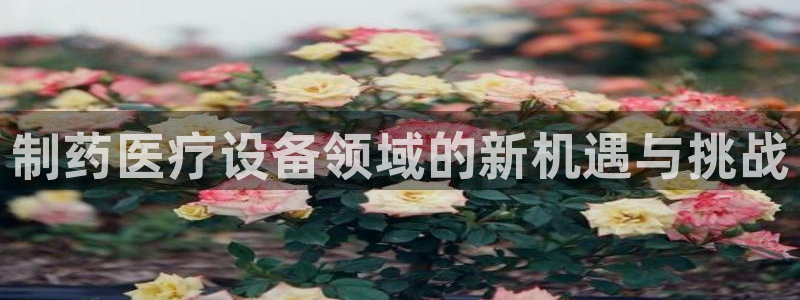恒行娱乐河沂74ooo5程
