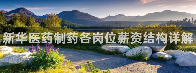 恒行娱乐5ll533主管优雅