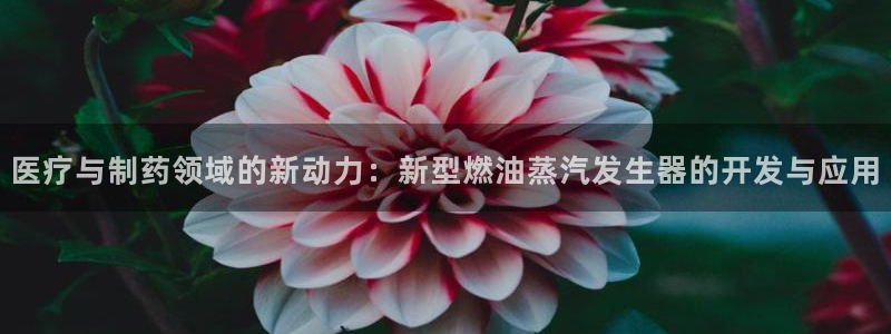 恒行2蒋74OOO5