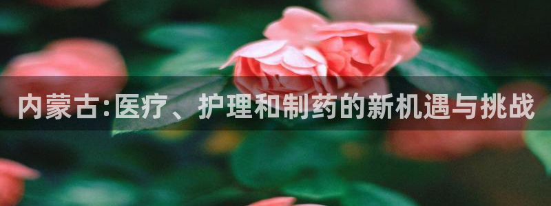 恒行2那74OO5