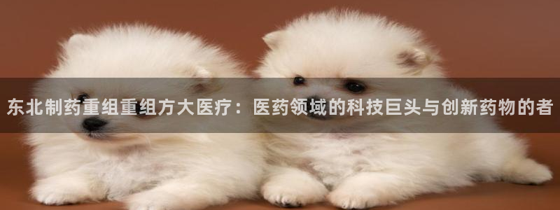 恒行娱乐5ll533主管正直