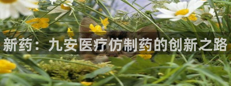 恒行娱乐河沂74ooo5程