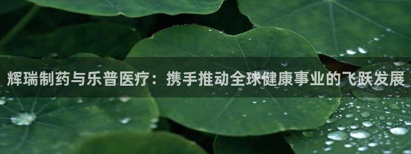 恒行2下74OOO5