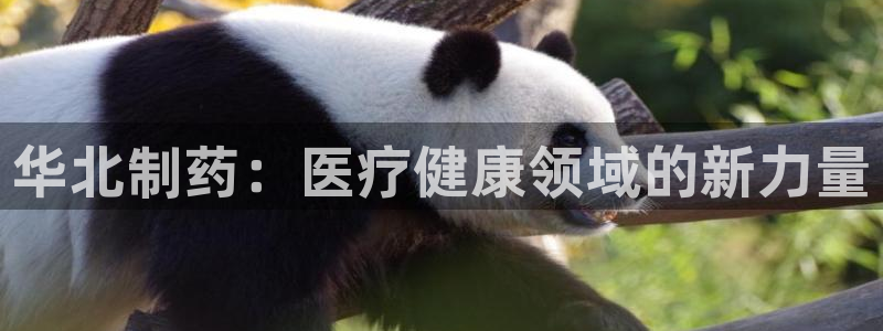 恒行2褚74OOO5