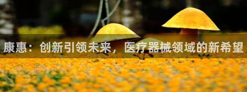 恒行娱乐吴74OOO5