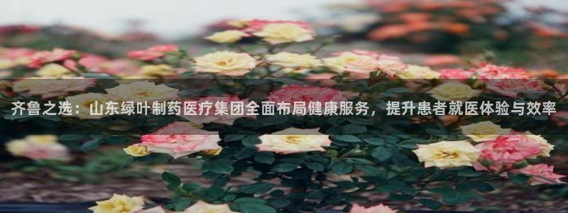 恒行娱乐毓婆74ooo5仪