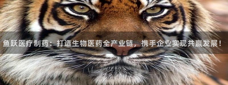 恒行娱乐5ll533主管耐心