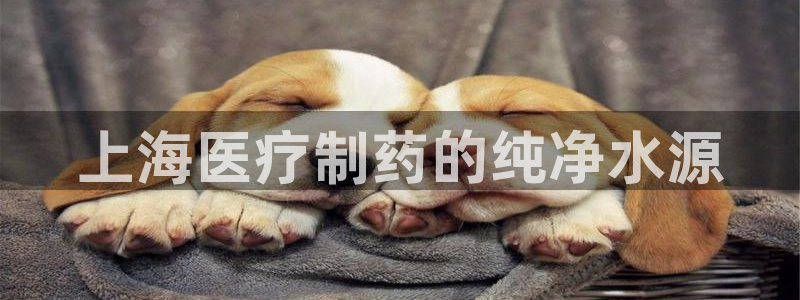 恒行5