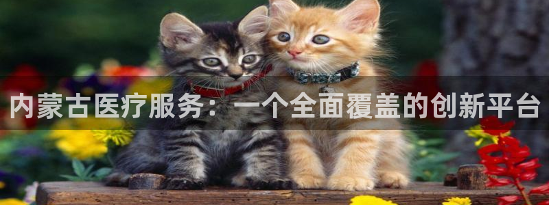 恒行娱乐陈74OOO5