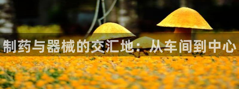 恒行2下74OOO5