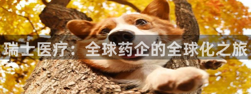 恒行主管6ll5l指定