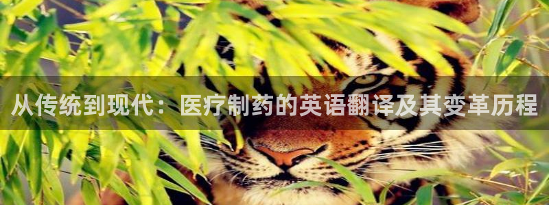 恒行2郑74OOO5