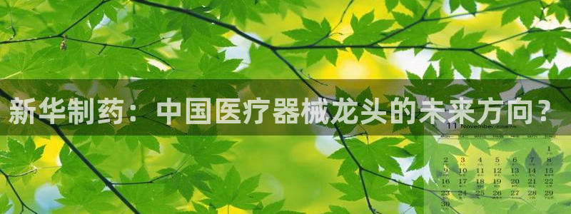 恒行5