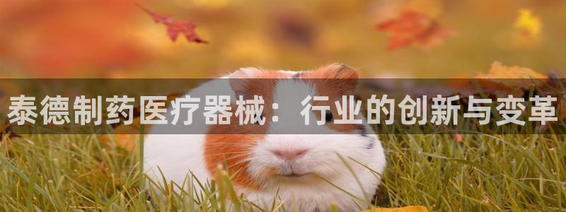 恒在5行中代表什么数字