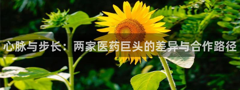 恒行2吴74OOO5