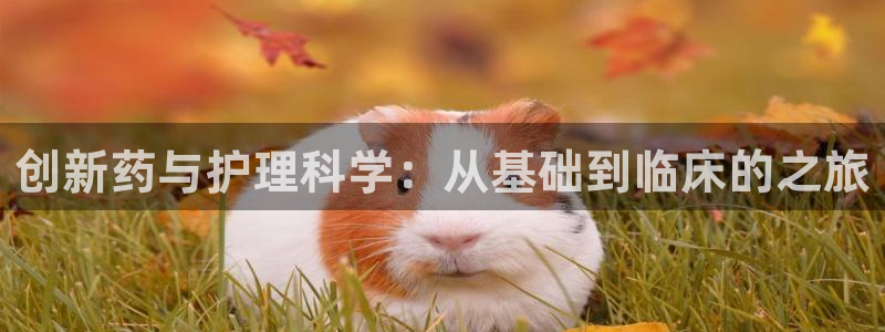 恒行2朱74OOO5