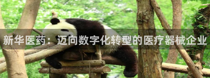 恒行娱乐热74ooo5主宰