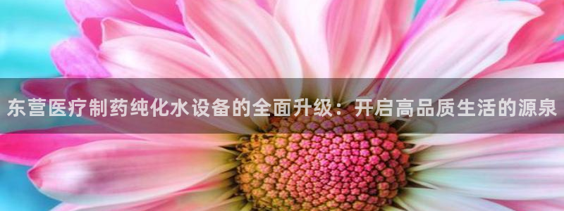 恒行5